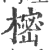 樒(印刷字体 ·宋 ·广韵 )