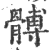 髆(印刷字体 ·宋 ·广韵 )