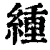 緟(印刷字体 ·清 ·康熙字典 )