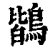 鶛(印刷字体 ·清 ·康熙字典 )