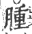 腫(印刷字体 ·宋 ·广韵 )