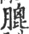 膍(印刷字体 ·宋 ·广韵 )