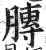 膞(印刷字体 ·明 ·洪武正韵 )