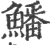 鱕(印刷字体 ·宋 ·广韵 )