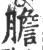 膽(印刷字体 ·宋 ·广韵 )