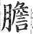 膽(印刷字体 ·明 ·洪武正韵 )