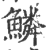 鳞(印刷字体 ·宋 ·广韵 )