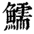 鱬(印刷字体 ·清 ·康熙字典 )