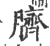 臍(印刷字体 ·宋 ·广韵 )