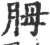 胟(印刷字体 ·宋 ·广韵 )