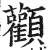 顴(印刷字体 ·明 ·洪武正韵 )