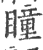 瞳(印刷字体 ·宋 ·广韵 )