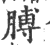 膊(印刷字体 ·宋 ·广韵 )