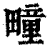 疃(印刷字体 ·清 ·康熙字典 )