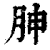 胂(印刷字体 ·清 ·康熙字典 )