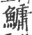 鳙(印刷字体 ·宋 ·广韵 )