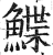 鲽(印刷字体 ·明 ·洪武正韵 )