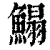 鳎(印刷字体 ·清 ·康熙字典 )