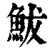 鲅(印刷字体 ·清 ·康熙字典 )