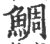 鲷(印刷字体 ·宋 ·广韵 )