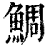 鲷(印刷字体 ·清 ·康熙字典 )