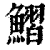 鳛(印刷字体 ·清 ·康熙字典 )