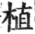 植(印刷字体 ·明 ·洪武正韵 )