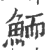 鮞(印刷字体 ·宋 ·广韵 )