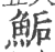 鮜(印刷字体 ·宋 ·广韵 )